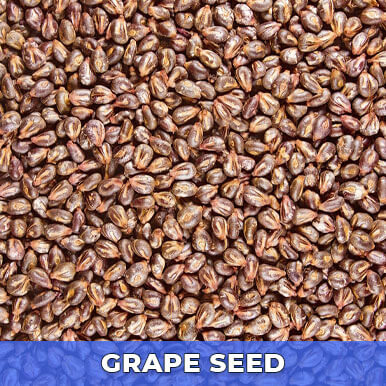 Wholesale grape seed Suppliers