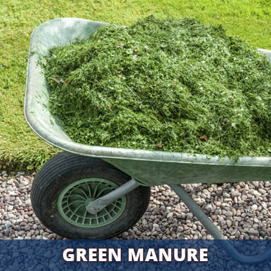 green manure Manufacturers