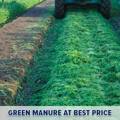 Wholesale green manure Suppliers