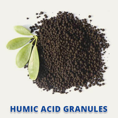 humic acid granules Manufacturers