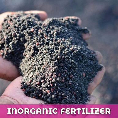 Wholesale inorganic fertilizer Suppliers