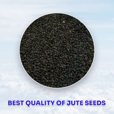 Wholesale jute seeds Suppliers