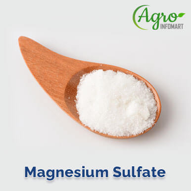magnesium sulfate Manufacturers