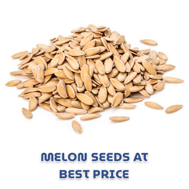 melon seeds Manufacturers