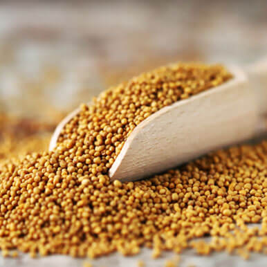 mustard seeds Manufacturers