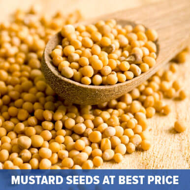 Wholesale mustard seeds Suppliers