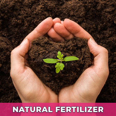 natural fertilizer Manufacturers