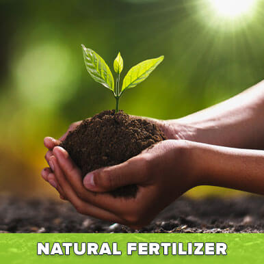 Wholesale natural fertilizer Suppliers