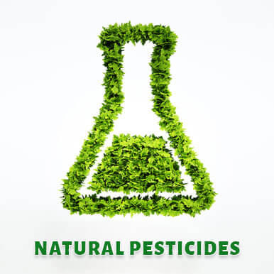 natural pesticides Manufacturers