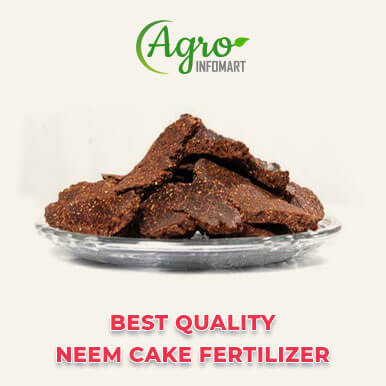 Wholesale neem cake fertilizer Suppliers