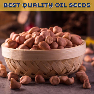 oil seeds Manufacturers