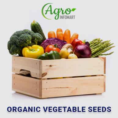organic vegetable seeds Manufacturers