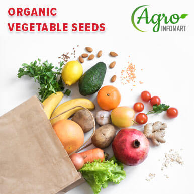 Wholesale organic vegetable seeds Suppliers