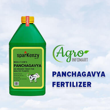 panchagavya fertilizer Manufacturers