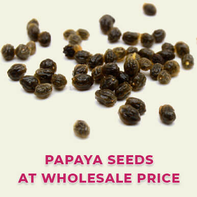 Wholesale papaya seeds Suppliers