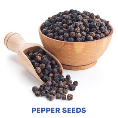 pepper seeds Manufacturers