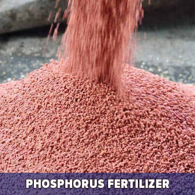 phosphorus fertilizer Manufacturers