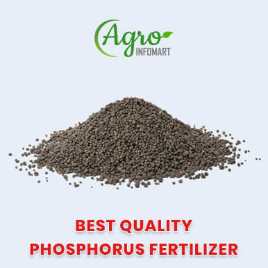 Wholesale phosphorus fertilizer Suppliers