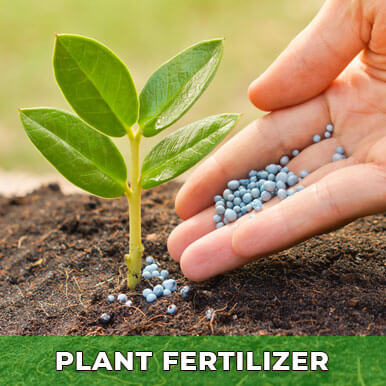 plant fertilizer Manufacturers