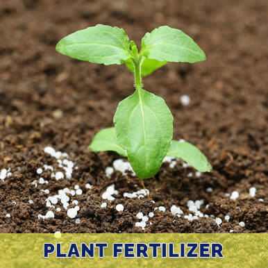 Wholesale plant fertilizer Suppliers
