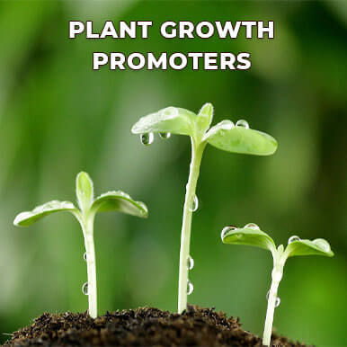 plant growth promoters Manufacturers