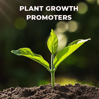 Wholesale plant growth promoters Suppliers