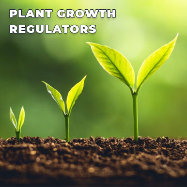 plant growth regulators Manufacturers