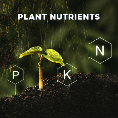 Wholesale plant nutrients Suppliers