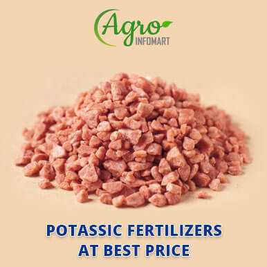 potassic fertilizers Manufacturers
