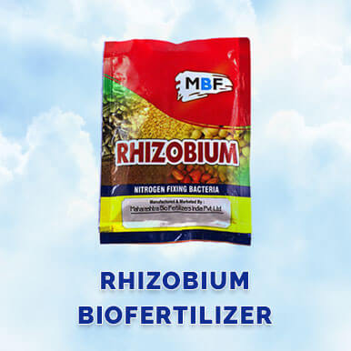 rhizobium biofertilizer Manufacturers