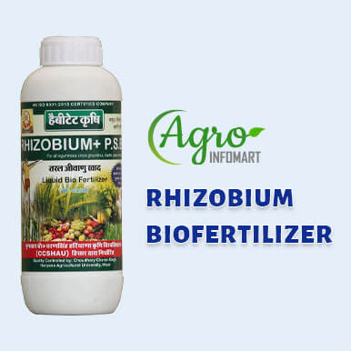 Wholesale rhizobium biofertilizer Suppliers
