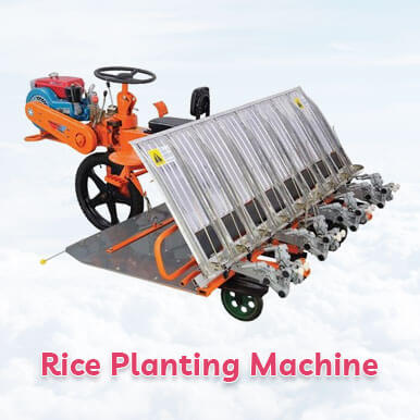 Wholesale rice planting machine Suppliers