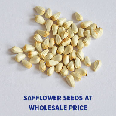 safflower seeds Manufacturers
