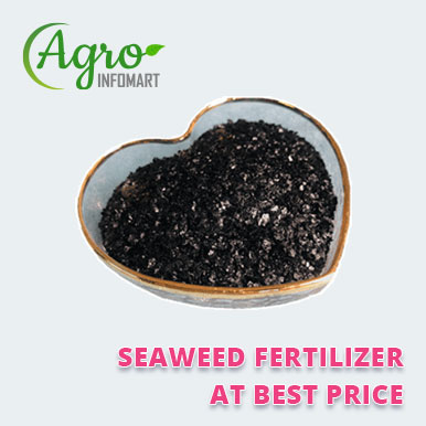 seaweed fertilizer Manufacturers