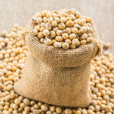 Wholesale soybean seeds Suppliers