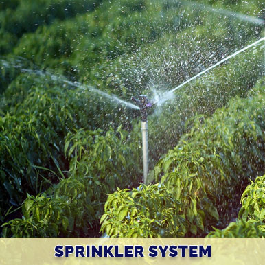 Wholesale sprinkler system Suppliers