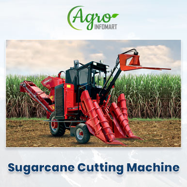 sugarcane cutting machine Manufacturers