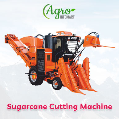 Wholesale sugarcane cutting machine Suppliers