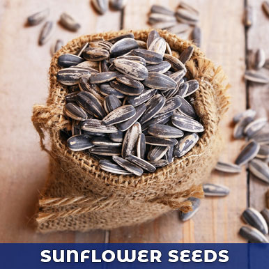 sunflower seeds Manufacturers