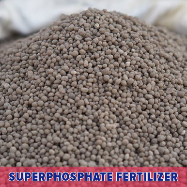 superphosphate fertilizer Manufacturers