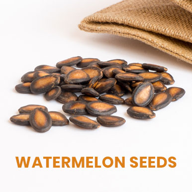Wholesale watermelon seeds Suppliers