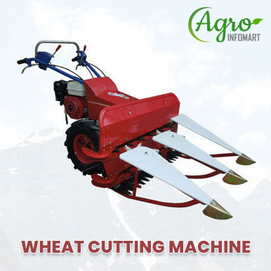 wheat cutting machine Manufacturers
