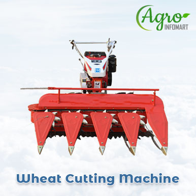 Wholesale wheat cutting machine Suppliers