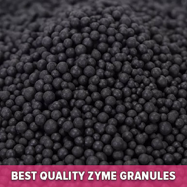 Wholesale zyme granules Suppliers