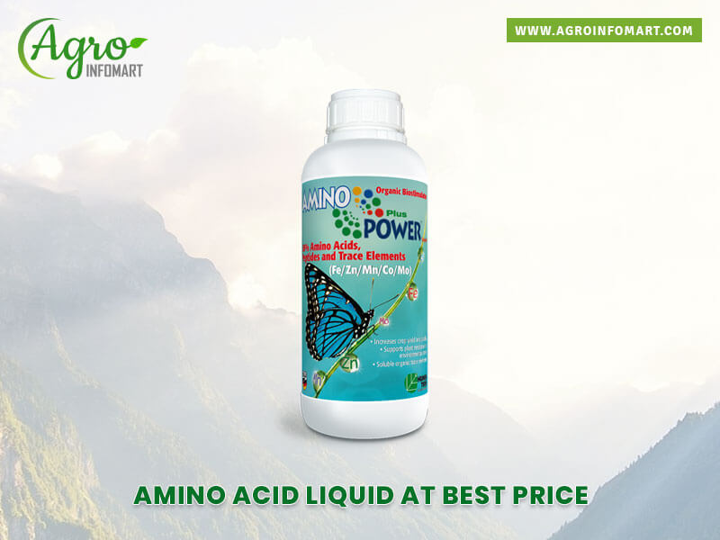 amino acid liquid Wholesale