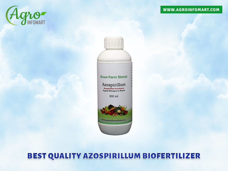azospirillum biofertilizer Wholesale