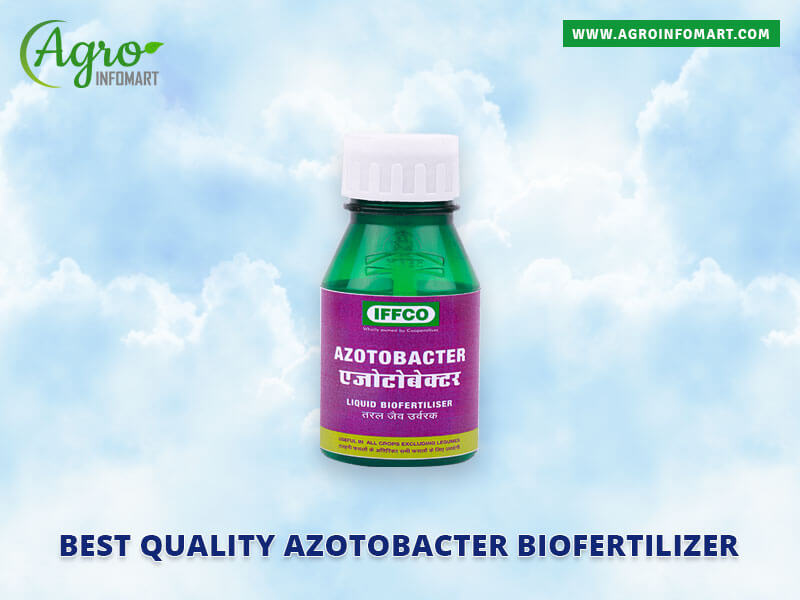 azotobacter biofertilizer Wholesale