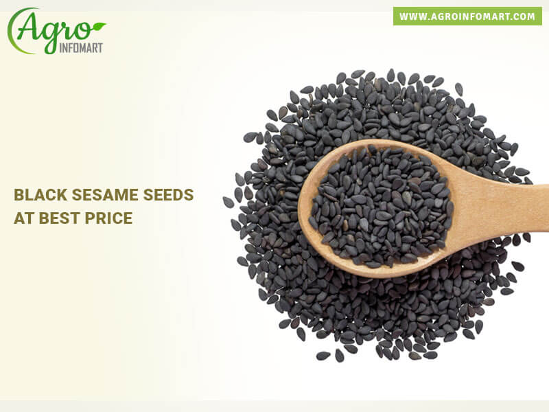 black sesame seeds Wholesale