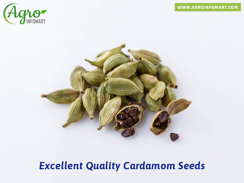 cardamom seeds Wholesale