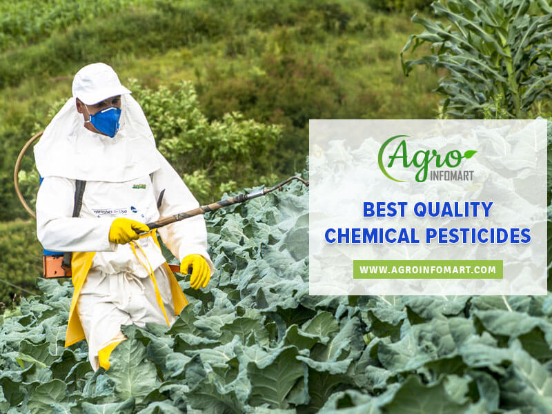 chemical pesticides Wholesale